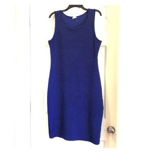Fitted Blue Dress